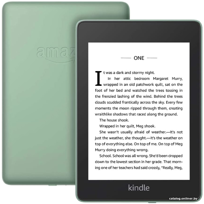 Amazon Kindle Paperwhite 4 (8Гб, Sage)